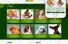绿色宠物狗机构类网站织梦模板(带手机端)