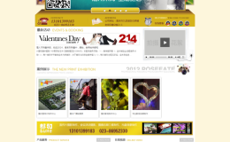 高端黄色婚庆摄影影视企业网站织梦模版