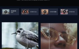 Topaz Video Enhance AI 2.1.0汉化文件,英文版,AI视频增强放大