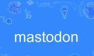 手把手教你怎么在Docker运行Mastodon(服务器搭建Mastodon)